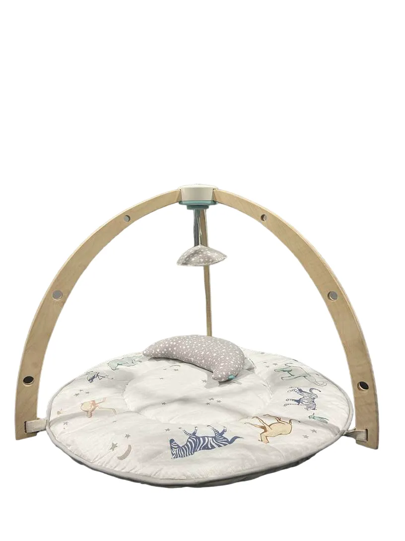 Aden   Anais Play   Discover Baby Activity Gym, Rising Star
