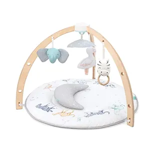 Aden   Anais Play   Discover Baby Activity Gym, Rising Star