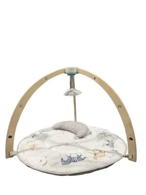 Aden   Anais Play   Discover Baby Activity Gym, Rising Star