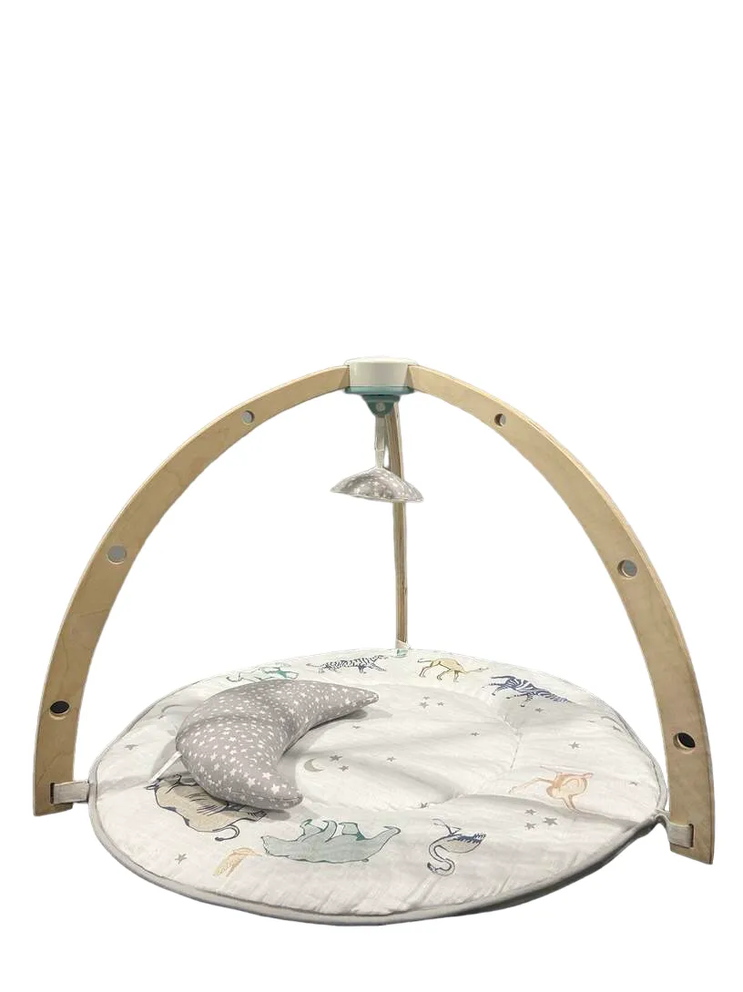 Aden   Anais Play   Discover Baby Activity Gym, Rising Star