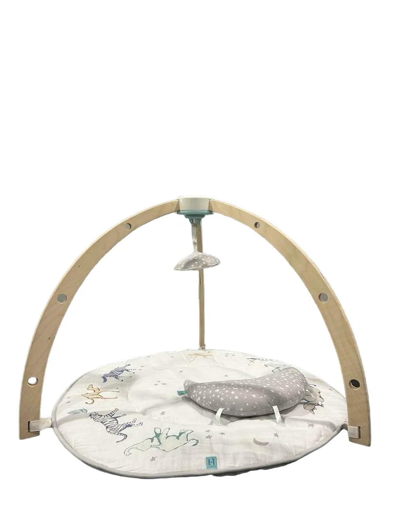 Aden   Anais Play   Discover Baby Activity Gym, Rising Star