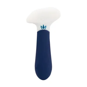 Anal Vibrator