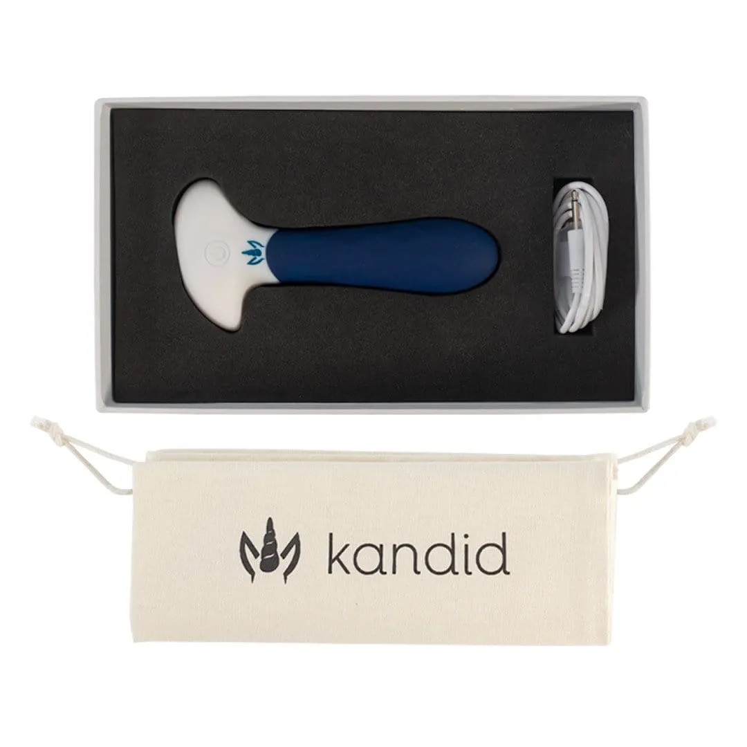 Anal Vibrator