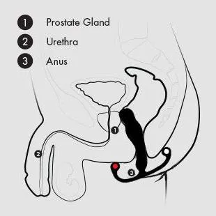 Aneros Eupho Syn Trident Hands-Free Prostate Stimulator