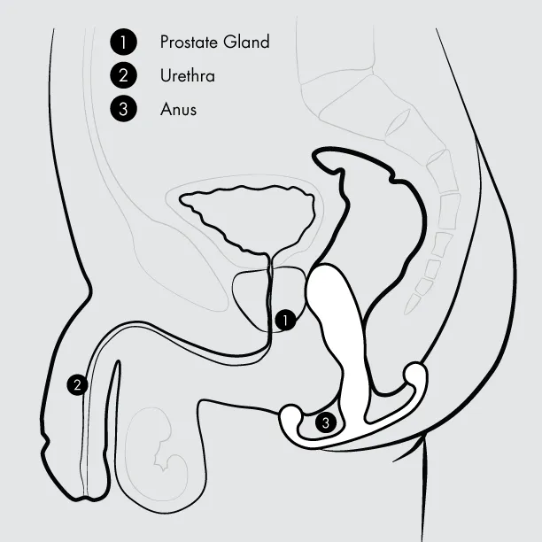 Aneros MGX Trident Hands-Free Prostate Stimulator