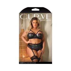 Fantasy Lingerie Curve Cassidy Cage Bra. Garter Belt & Panty Black 3XL/4XL