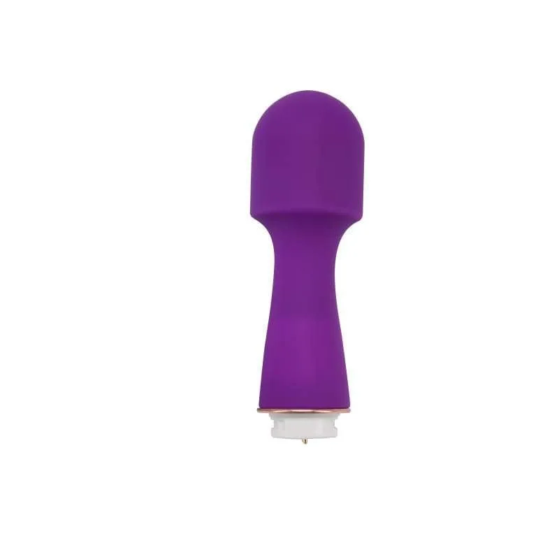 OMega - Multi Speed Vibrator Massager with 4 attachments.