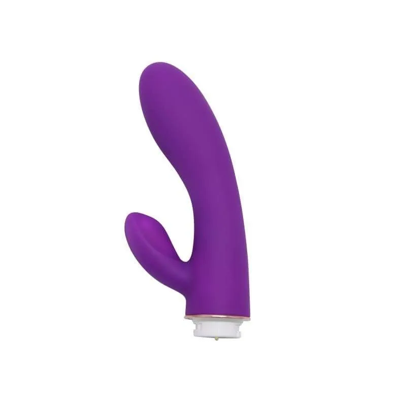 OMega - Multi Speed Vibrator Massager with 4 attachments.