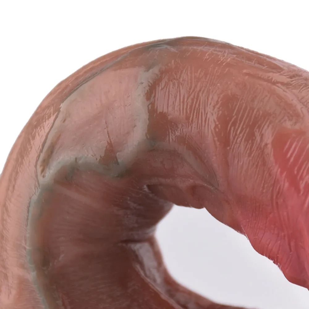 Realistic Dildo Butt Plug Prostate Massager - Silicone Lifelike Vaginal Anal Sex Toys for Women