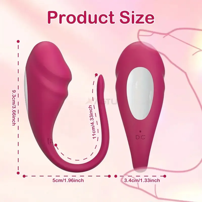 Wearable Panty G Spot Vibrator Long Distance APP Remote Control Vibrator